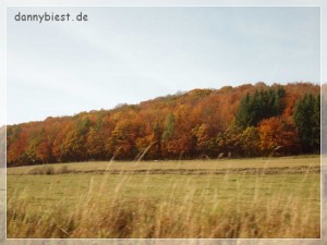 Herbst-300x225 in Der Winter naht in großen Schritten